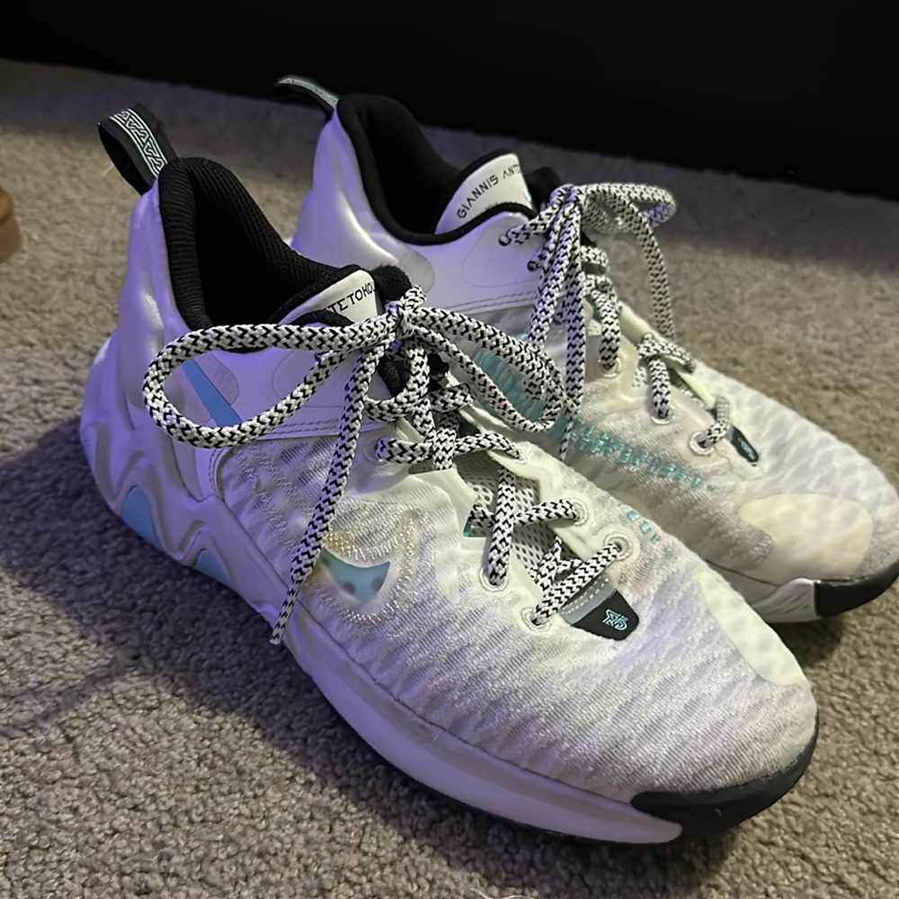 Nike Basketball/Tennis shoes